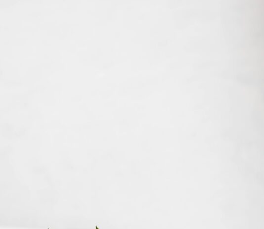 겨울철 운동과 음식으로 면역력을 높이는 방법 bowl of strawberries