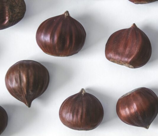 건강한 겨울 간식 2 brown round fruit on white textile