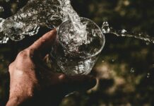 디톡스식단으로 건강한 간 만들기 person holding drinking glass filled with water