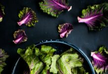 건강을 위한 자연 식품의 힘 purple and green vegetable in black bowl