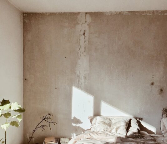 숙면을 위한 실천법, 수면의 질 높이는 다섯 가지 방법 leaf plant near bed