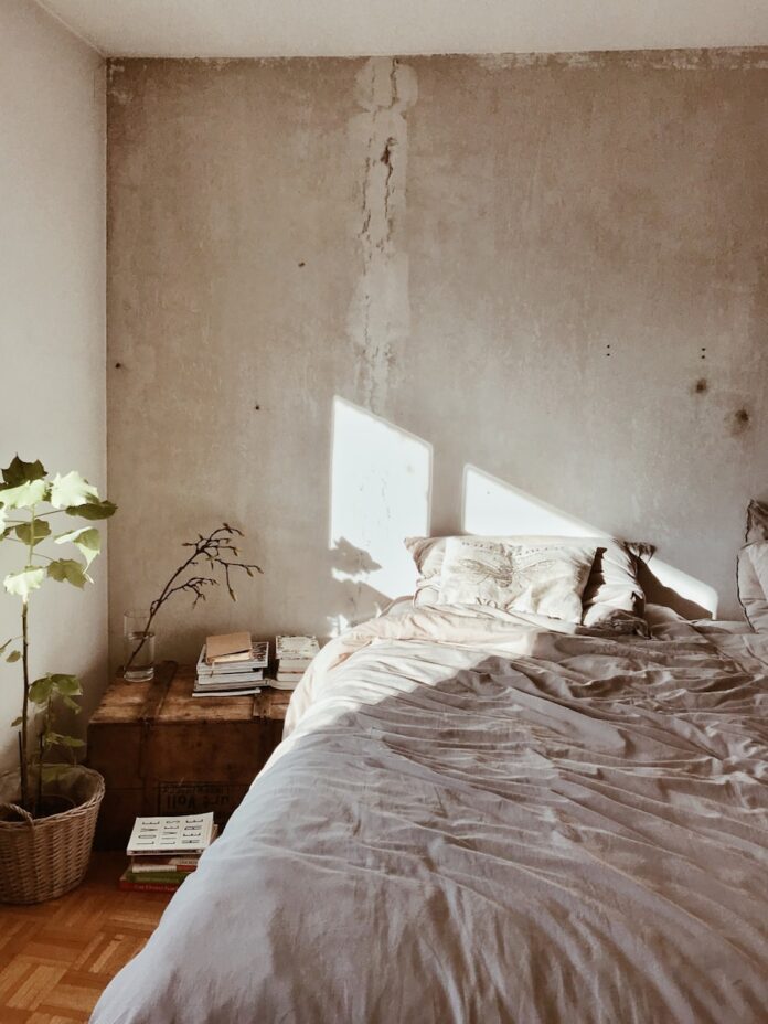 Photo by nine koepfer leaf plant near bed