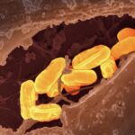 ‘개인 맞춤형 식단’ 트렌드, 건강관리의 새 기준으로 자리 잡다 a close up of a cell phone with a yellow substance on it