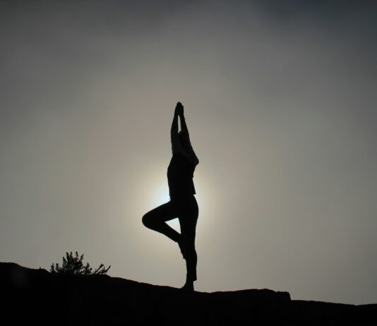 수리야 나마스카라: 아침 10분의 기적, 전신을 깨우는 가장 완벽한 시퀀스 person doing yoga exercises