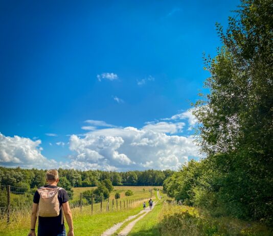 “직장인 건강, 작은 변화로 지키는 일상 루틴이 대세” man in brown t-shirt and blue denim shorts walking on pathway between green grass field