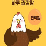 ‘완전식품’ 계란, 하루 몇 개가 적당할까?… 단백질부터 눈 건강까지 다양한 효능 주목