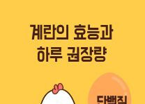 ‘완전식품’ 계란, 하루 몇 개가 적당할까?… 단백질부터 눈 건강까지 다양한 효능 주목