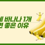 “하루 바나나 1개, 건강에 어떤 도움 될까?”… 전문가가 꼽은 5가지 효과