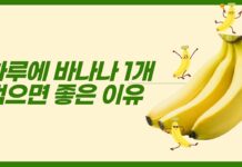 “하루 바나나 1개, 건강에 어떤 도움 될까?”… 전문가가 꼽은 5가지 효과