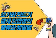 여름철 모기·진드기 매개 감염병 증가…예방수칙 준수가 최선의 방어