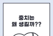 충치는 왜 생길까?… 단 음식보다 중요한 것은 ‘구강 관리 습관’