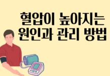 혈압 상승 원인과 관리법…생활습관 개선이 핵심