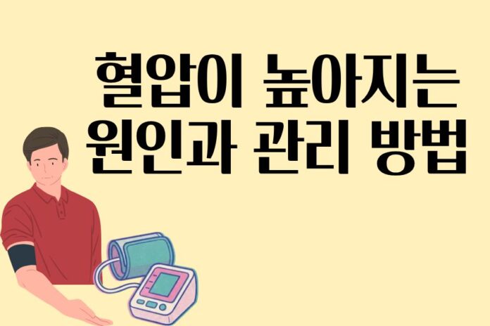 제목을_입력해주세요.(48)