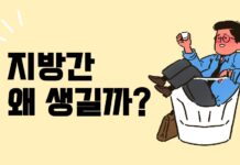 지방간 환자 증가…음주·대사 이상이 주요 원인, 조기 관리 중요