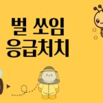 벌 쏘임 응급처치, 국소 반응과 아나필락시스 구분이 중요