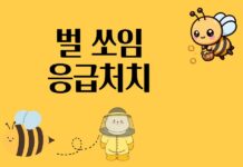 벌 쏘임 응급처치, 국소 반응과 아나필락시스 구분이 중요