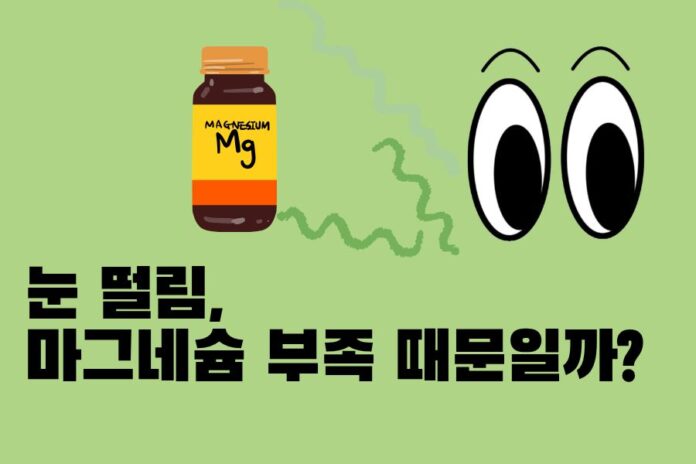 제목을_입력해주세요.(55)