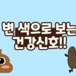변 색깔로 보는 건강 신호