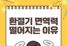 가을철 환절기에 면역력이 떨어지는 이유는 뭘까??